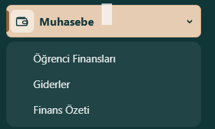 Muhasebe çalışma alanları